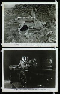 3y488 HOUND OF THE BASKERVILLES 2 8x10 movie stills '32 great image of man held down by huge dog!