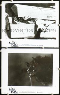 3y504 IN SEARCH OF DRACULA 2 8x10 movie stills '75 cool image of vampire bat, undead in coffin!