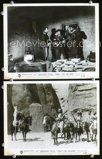 3y638 ONLY THE VALIANT 2 8x10 movie stills '51 two great images of Gregory Peck as cavalry man!