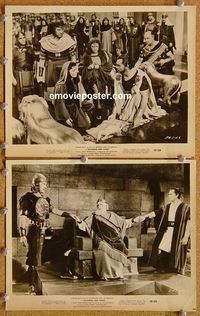 3y782 SOLOMON & SHEBA 2 8x10 movie stills '59 two images of Yul Brynner in the title role!