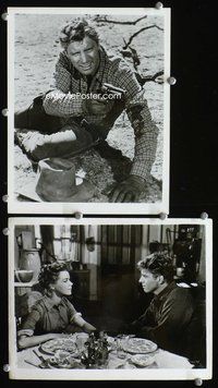 3y908 VENGEANCE VALLEY 2 8x10 movie stills '51 great images of Burt Lancaster fighting & romancing!