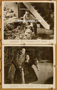 3y938 WEREWOLF OF LONDON 2 8x10 movie stills R51 two great images from first Universal horror!