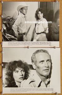 3y950 WHEN TIME RAN OUT 2 7.5x9.5 stills '80 two great images of Paul Newman & Jacqueline Bisset!