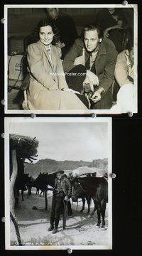 3y965 WILLIAM HOLDEN 2 8x10 movie stills '40s two great images of young star, one w/Brenda Marshall!
