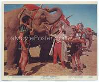 3y095 JUPITER'S DARLING Eng/US color 8x10 #8 '55 Esther Williams & Howard Keel stand by elephants!
