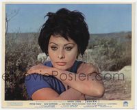 3y094 JUDITH English Front of House LC '66 great super close portrait of sexiest Sophia Loren!