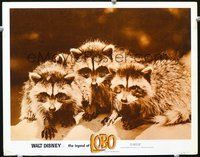 4c418 LEGEND OF LOBO movie lobby card '63 Walt Disney, cute image of tiny raccoons!