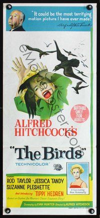 4d458 BIRDS Australian daybill '63 Alfred Hitchcock shown, art of Tippi Hedren attacked by birds!