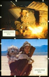 4e859 BOY & HIS DOG 2 French LCs '75 Apocalypse 2024, great images of Don Johnson & talking dog!
