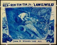4f738 LAW OF THE WILD chap 11 movie lobby card '34 Bob Custer fights with man on ground outdoors!