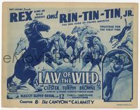 4f165 LAW OF THE WILD Ch. 8 title card '34 great art of stampeding wild horses & Rin-Tin-Tin Jr.!