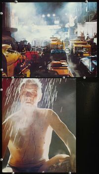 4g080 BLADE RUNNER 2 color 11x14s '82 Ridley Scott sci-fi classic, creepy image of Rutger Hauer!