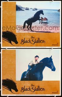 4g079 BLACK STALLION 2 movie lobby cards '79 Carroll Ballard directed, based on Walter Farley novel!