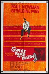 4h909 SWEET BIRD OF YOUTH 1sh '62 Paul Newman, Geraldine Page, from Tennessee Williams' play!