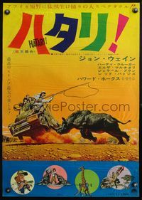 4v202 HATARI Japanese '62 Howard Hawks, great artwork images of John Wayne in Africa!
