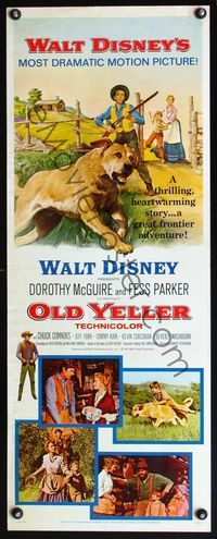 4w379 OLD YELLER insert R65 great artwork of Disney's most classic canine, Dorothy McGuire!