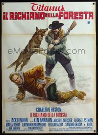 5c354 CALL OF THE WILD Italian 1p '72 different art of Charlton Heston rescued by Buck the dog!