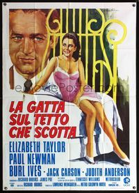 5c359 CAT ON A HOT TIN ROOF Italian 1p R74 different art of sexy Liz Taylor & Newman by Ciriello!