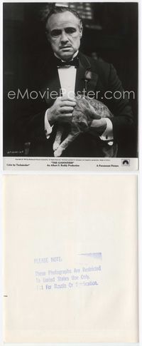 5j194 GODFATHER 8x9.75 still '72 full-length image of Marlon Brando in tuxedo stroking cat!