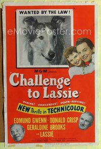 5p176 CHALLENGE TO LASSIE 1sh '49 classic canine Collie is wanted by the law, wacky image!