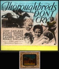 5t091 THOROUGHBREDS DON'T CRY glass slide '37 Judy Garland, Mickey Rooney, cool horse racing art!