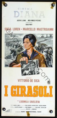 5w716 SUNFLOWER Italian locandina '70 Vittorio De Sica's I Girasoli, Symeoni art of Sophia Loren!