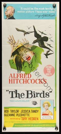 6d069 BIRDS Aust daybill '63 Alfred Hitchcock shown, art of Tippi Hedren attacked by birds!