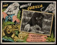6f787 WHITE GORILLA photolobby '45 great close up of wild black ape beating white ape on ground!