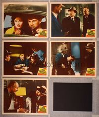 6g516 ASPHALT JUNGLE 5 LCs '50 Sterling Hayden, John Huston directed classic film noir!