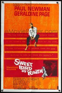 6j847 SWEET BIRD OF YOUTH 1sh '62 Paul Newman, Geraldine Page, from Tennessee Williams' play!
