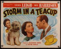 6t557 STORM IN A TEACUP 1/2sh '37 close up of reporter Rex Harrison & Vivien Leigh + dog!