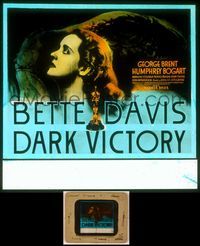 6w088 DARK VICTORY glass slide '39 great profile headshot of heiress-going-blind Bette Davis!