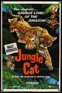 6y420 JUNGLE CAT 1sh '60 Disney, great artwork of jaguar, savage lord of the Amazon!
