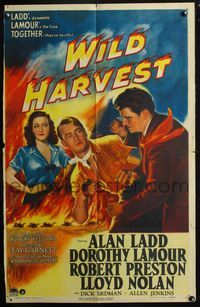 7d978 WILD HARVEST style A 1sh '47 art of Alan Ladd in fistfight, sexy Dorothy Lamour!