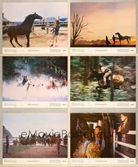 7m420 MAN FROM SNOWY RIVER 6 color 11x14 stills '82 Tom Burlinson, Sigrid Thornton, Kirk Douglas!