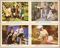 7m666 HORSE IN THE GRAY FLANNEL SUIT 4 LCs '69 Walt Disney, Dean Jones, wacky images of cast!