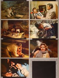 7m251 OMEN 7 color 11x14 stills 1976 Gregory Peck, Lee Remick, Satanic horror, wild images!