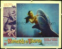 7r525 MERMAIDS OF TIBURON LC #4 '62 image of sexy Diane Webber feeding shark underwater!