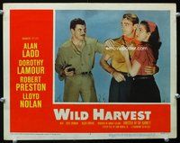 7r849 WILD HARVEST LC #3 R58 Robert Preston tries to break up Alan Ladd & Dorothy Lamour!