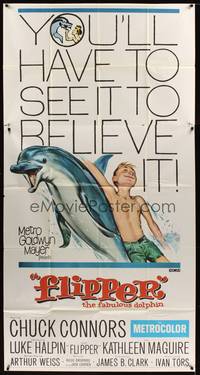 7v596 FLIPPER 3sh '63 Chuck Connors, Luke Halpin, cool art of boy & dolphin!