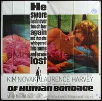 7v085 OF HUMAN BONDAGE 6sh '64 super sexy Kim Novak can't help being what she is!