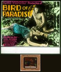 8a082 BIRD OF PARADISE glass slide '32 Dolores Del Rio in sarong sprawled out by Joel McCrea!