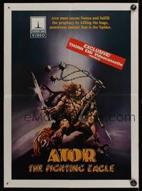 8c571 ATOR 18x25 video poster '82 Joe D'Amato's Ator l'invincibile, cool fantasy art by Sciotti!
