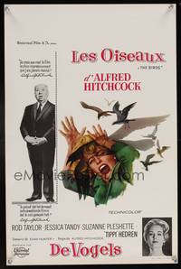 8c234 BIRDS Belgian '63 Alfred Hitchcock shown, art of Tippi Hedren attacked by birds!