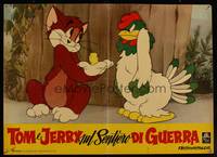 8e478 TOM & JERRY Italian photobusta 1961 Tom offers up chick back to angry rooster!
