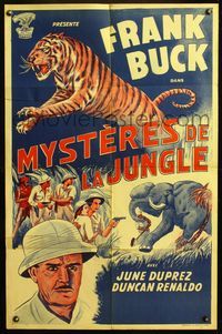 8f074 TIGER FANGS Moroccan '43 Frank Buck, great art of big cat & elephants!