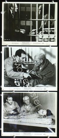 8p639 BIRDMAN OF ALCATRAZ 3 8x10s '62 Burt Lancaster, Karl Malden, directed by John Frankenheimer