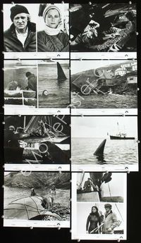 8p398 ORCA 12 8x10s '77 Richard Harris, Charlotte Rampling, killer whale!