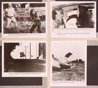 8p381 STINGRAY 17 8x10 stills '78 Chevy Corvette, Christopher Mitchum, Sherry Jackson