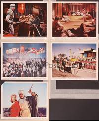 8p077 KING RICHARD & THE CRUSADERS 5 color 8x10 stills '54 Rex Harrison, Virginia Mayo, Sanders